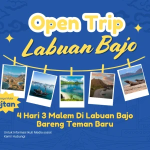 Petualangan Bawah Laut Labuan Bajo