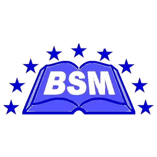 cv bsm